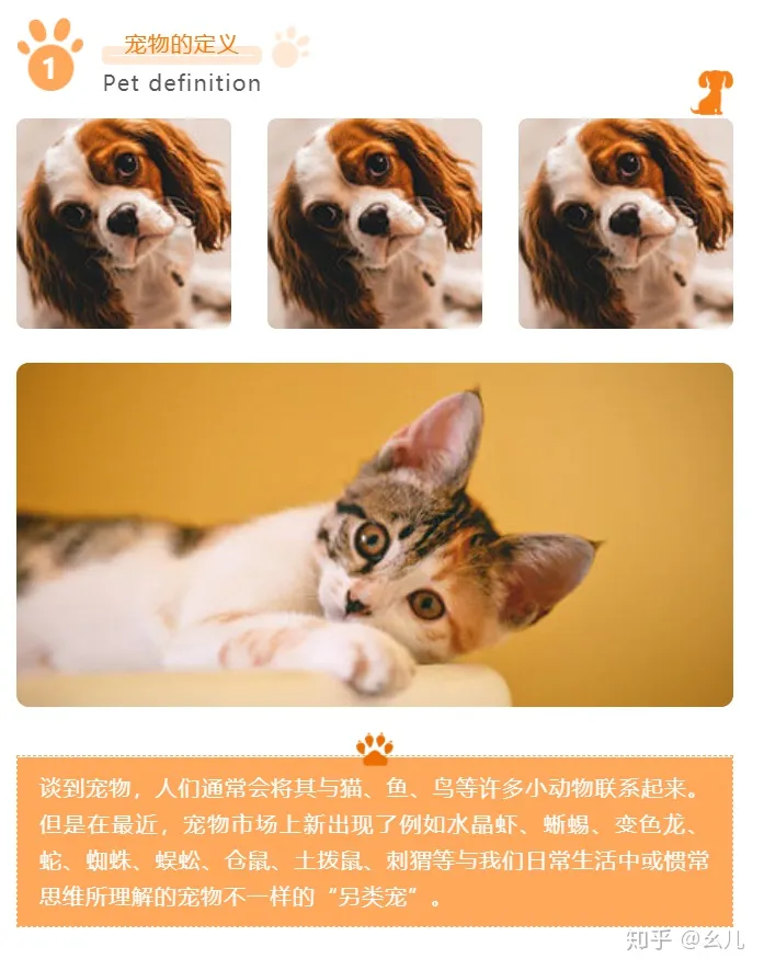 宠物微信公众号排行榜，宠物相关的微信公众号图文还能这样排版？萌化了