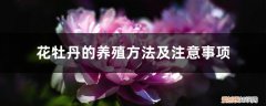 牡丹花的养殖技巧 花牡丹的养殖方法及注意事项