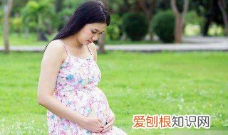 安胎吃什么水果好 安胎吃什么