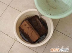 椰砖有啥用 椰砖有什么用处