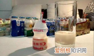 孕妇不能喝乳酸菌饮料吗 乳酸菌饮料孕妇可以喝吗