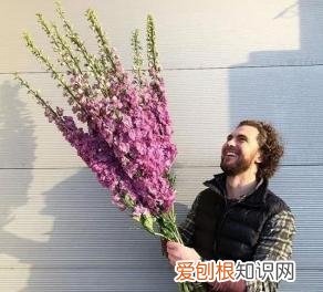 如何进行花材的处理和保鲜，常用花材养护方法，你都知道吗