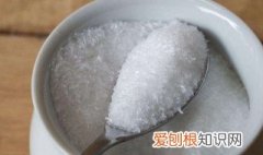 谷氨酸钠的危害 谷氨酸钠对人体有害吗