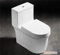 大便堵马桶几天自然通，大便堵马桶几天自然下去