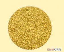 复合肥是缓释肥还是控释肥 花友经验：缓释肥和控释肥的区别