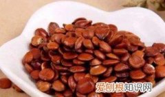 酸枣仁有什么作用?真的可以治失眠吗? 酸枣仁有什么作用