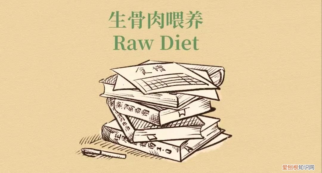 做宠物自媒体，头部宠物自媒体「RawMeat」布局湿粮赛道，创立品牌Purrja扑呀