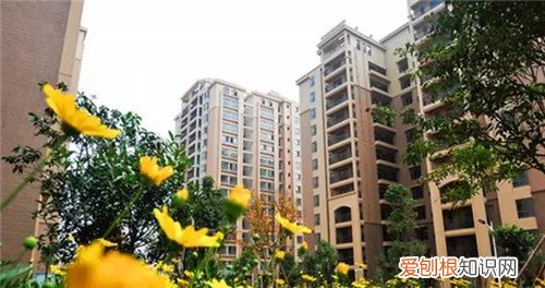 成都公租房在哪些位置,成都公租房在哪儿