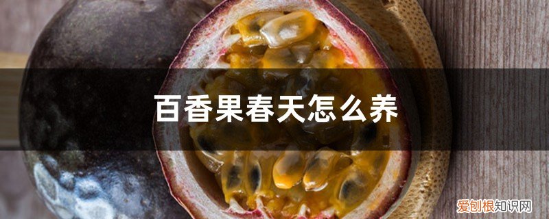 百香果的种植方法和冬天的能不能怎么样 百香果春天怎么养