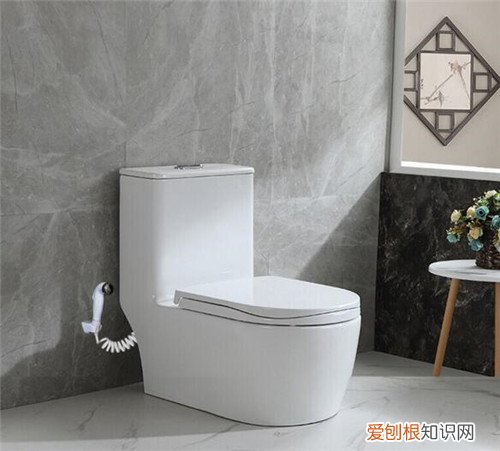 马桶改成蹲便好改吗，蹲便可不可以改马桶