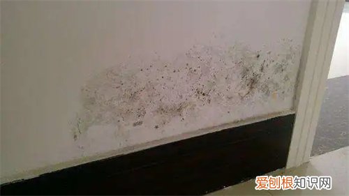 卫生间外墙根部潮湿起皮怎么维修，卫生间外墙根部潮湿起皮怎么维修视频