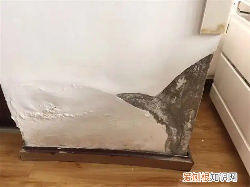 卫生间外墙根部潮湿起皮怎么维修，卫生间外墙根部潮湿起皮怎么维修视频