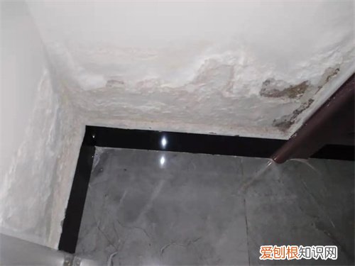 卫生间外墙根部潮湿起皮怎么维修，卫生间外墙根部潮湿起皮怎么维修视频