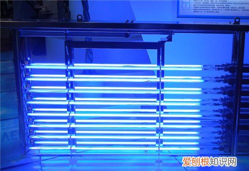 臭氧灭菌灯适合消毒什么，臭氧灭菌灯适合消毒什么东西