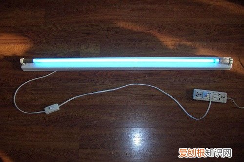 臭氧灭菌灯适合消毒什么，臭氧灭菌灯适合消毒什么东西