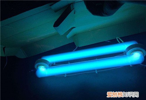 臭氧灭菌灯适合消毒什么，臭氧灭菌灯适合消毒什么东西