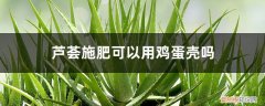 养芦荟可以放鸡蛋壳吗? 芦荟施肥可以用鸡蛋壳吗