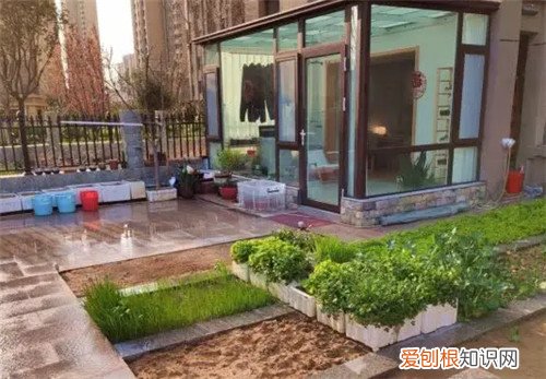 一楼带小院国家规定是怎样的，一楼带小院国家规定大小