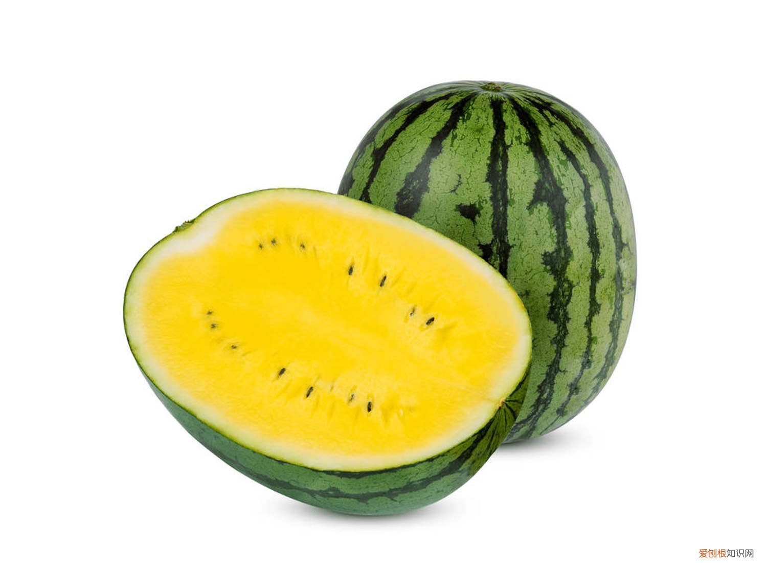 植物西瓜皮椒草有毒吗 西瓜皮椒草怎么养长得好