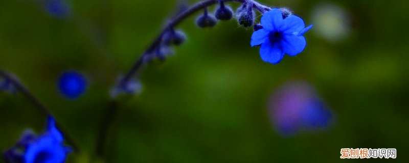 手拉壶怎么养壶 倒提壶怎么养