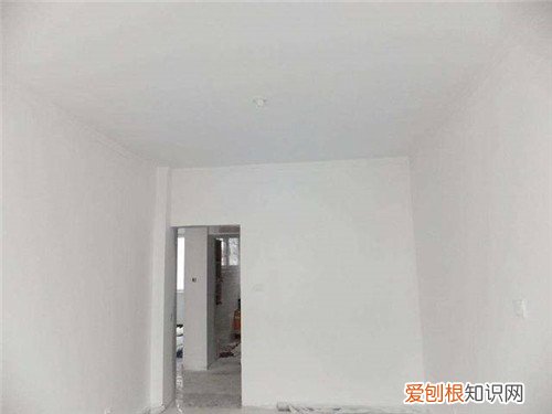 墙面拉毛用108胶还是用墙固，墙面拉毛108胶加水泥比例