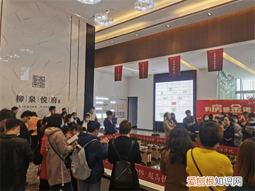 首付分期是什么意思，首付分期是什么意思啊