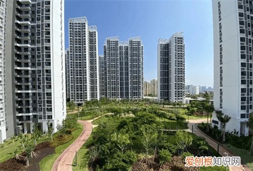 海南安居房申请条件有哪些，海南申请安居房的条件