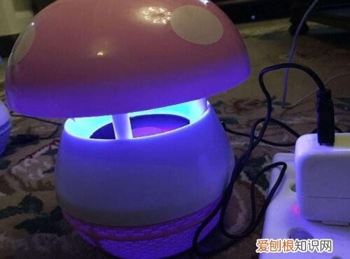 灭蚊灯有辐射吗，灭蚊灯有辐射吗对人体有害吗