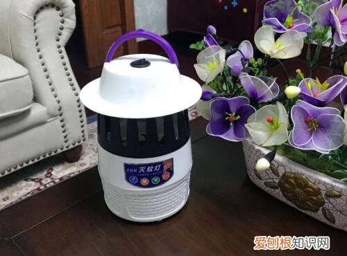 灭蚊灯有辐射吗，灭蚊灯有辐射吗对人体有害吗