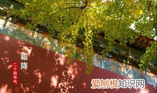 霜降节气养生小常识 霜降节气养生知识