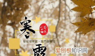 寒露时节如何养生 寒露节气养生知识