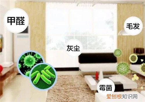 tvoc标准数值是多少