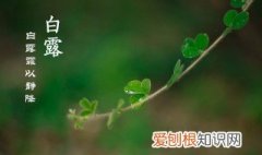 白露节气养生知识讲座美遍 白露节气养生知识