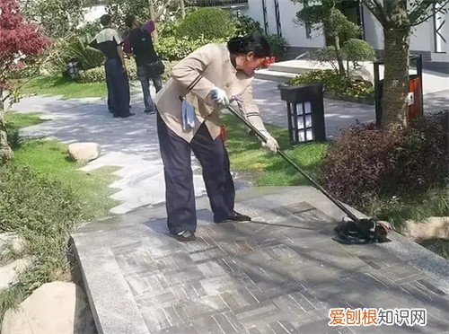 小区物业最怕什么举报，小区物业最怕向谁举报