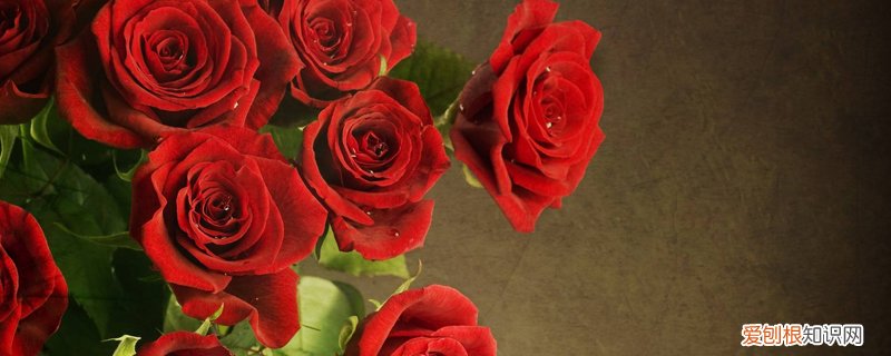 玫瑰花在瓶子里怎么养 玫瑰花怎么养在花瓶里