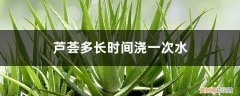 芦荟多长时间浇一次水比较好 芦荟多长时间浇一次水