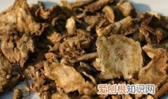 独活的功效与作用点用 独活的作用与功效