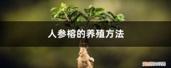 人参榕的养殖方法,怎么让根长大呢 人参榕的养殖方法，怎么让根长大？