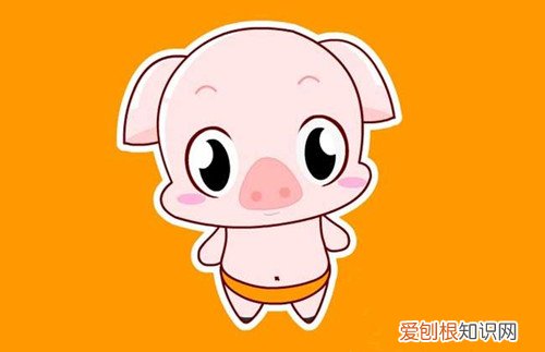 95年属什么的生肖 属猪男性和什么属相的女性配