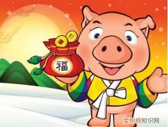 95年属什么的生肖 属猪男性和什么属相的女性配