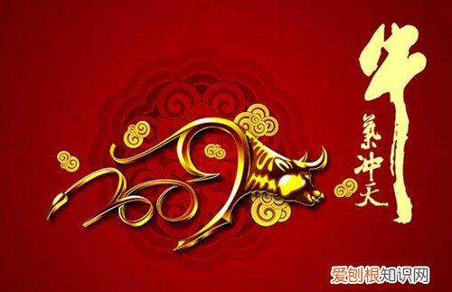 属牛和属虎谁压谁 为什么属牛和属虎合适