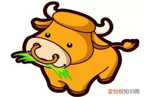 属牛和属虎谁压谁 为什么属牛和属虎合适