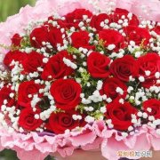 情侣送花送什么花 适合推荐的七种鲜花