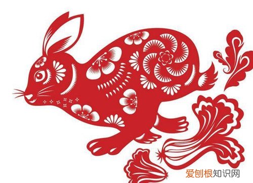 木肖是什么生肖 木肖的运势如何