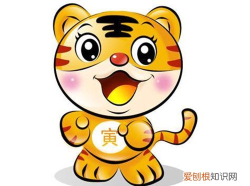 木肖是什么生肖 木肖的运势如何