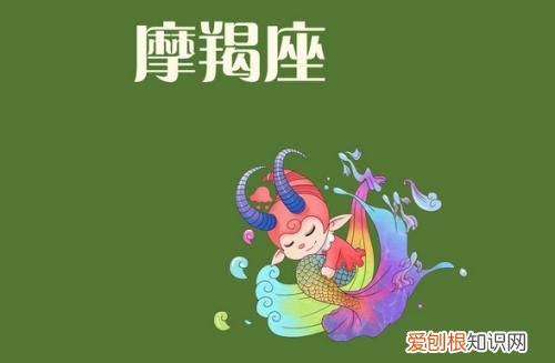 什么星座会保护摩羯女 会守护摩羯女的星座男