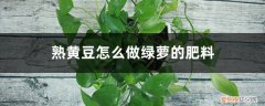 绿萝能用黄豆做花肥吗 熟黄豆怎么做绿萝的肥料，一盆埋几个最好？