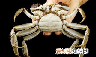 茄子可以跟螃蟹一起吃吗 茄子,螃蟹,一起吃