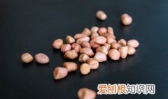 花生功效作用中医 花生,功效,作用
