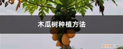 木瓜树种植方法图片 木瓜树种植方法